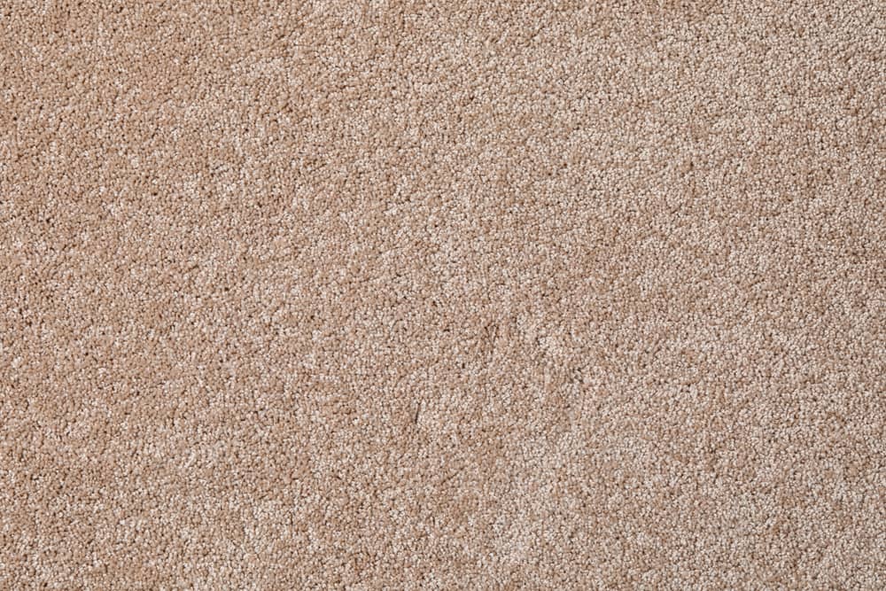 Sample of Carpet 3